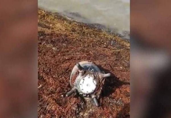 حجة.. إتلاف 8 ألغام بحرية بعد يوم من نشر الحوثيين 15 لغمًا بالبحر الأحمر