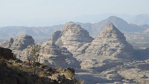 20 قتيلاً حوثياً حصيلة محاولة تسلل فاشلة للمليشيا غرب مركز مديرية باقم