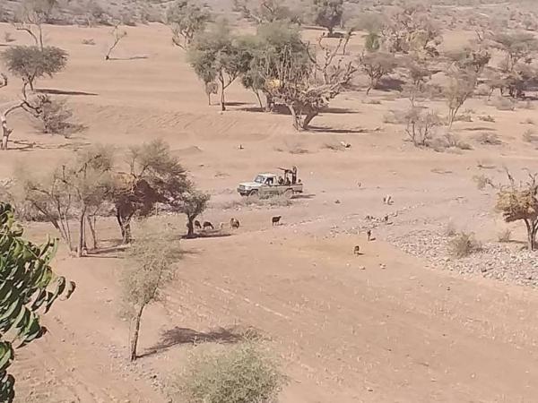 استعادة مناطق استراتيجية من قبضة مليشيا الحوثي في حشا الضالع
