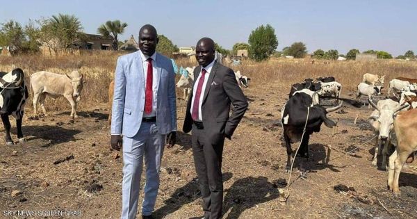 في جنوب السودان مهر ابنة الرئيس 500 بقرة في جنوب السودان مهر ابنة الرئيس 500 بقرة