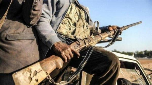 النيجر تعلن مقتل 50 عنصرًا من "بوكوحرام " الإرهابية