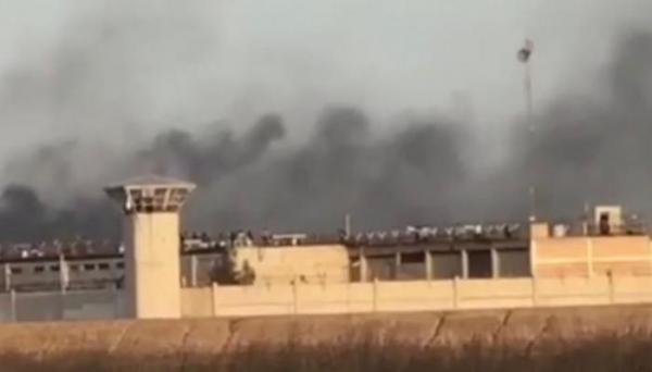 العفو الدولية: مقتل 36 سجينا برصاص الأمن الإيراني