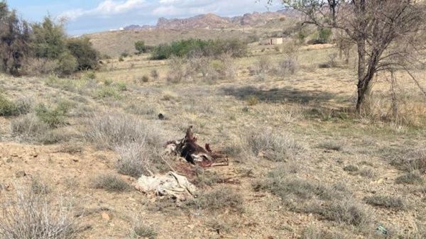 لغم حوثي يودي بحياة طفل في البيضاء 