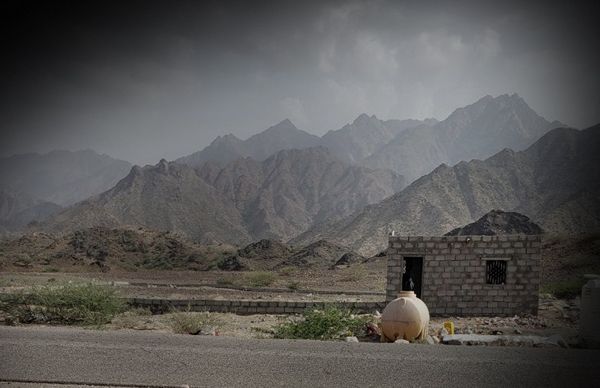 معين بمنصب وكيل محافظة.. قيادي حوثي ينهب أراضيَ خاصة في ريمة