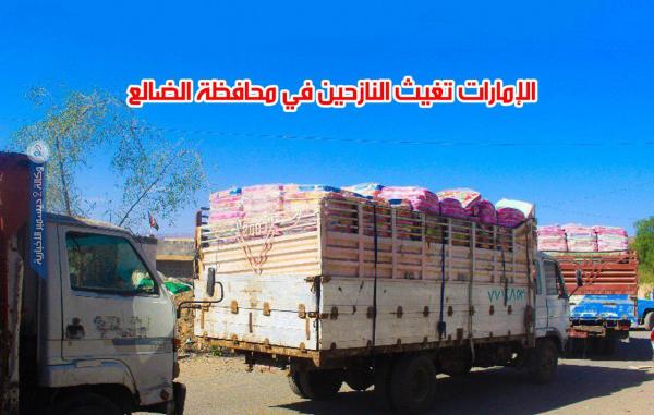 الإمارات تغيث النازحين في محافظة الضالع