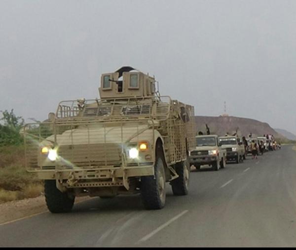 القوات المشتركة ترفع جاهزيتها لمعركة تحرير الحديدة