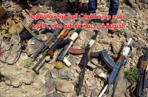 تقدم جديد للقوات المشتركة والمقاومة الجنوبية في جبهة قعطبة صوب العود