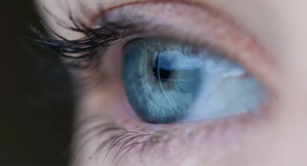 حدقة عينك تكشف مستوى ذكائك حدقة عينك تكشف مستوى ذكائك