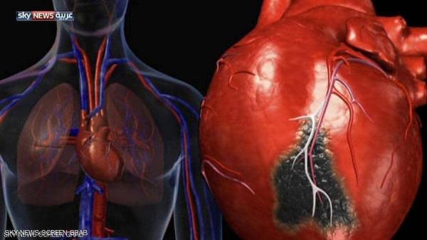 دراسة: رفع الأثقال مفيد لحرق دهون القلب