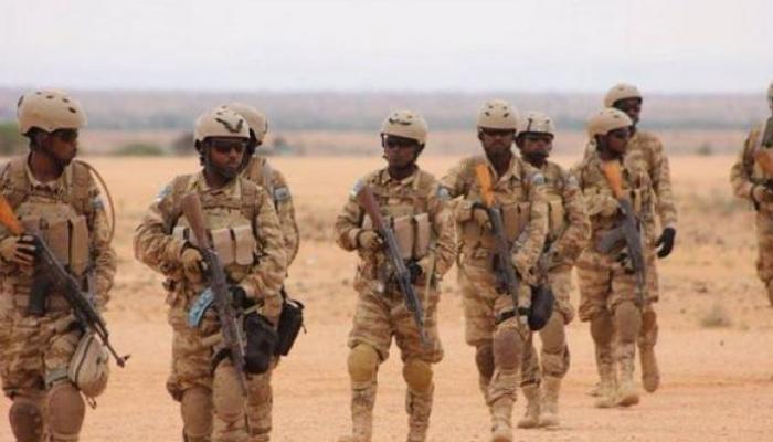 مقتل 20 عنصرا من داعش بينهم قيادات شرقي الصومال