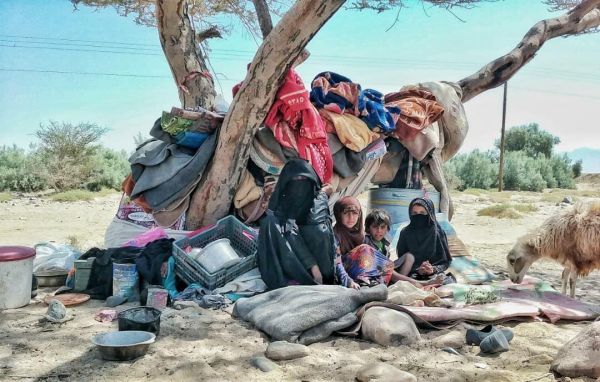 الهجرة الدولية: نزوح 543 أسرة في محافظة مأرب خلال أسبوع