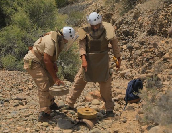 "مسام" ينتزع 1755 لغما حوثيا خلال الأسبوع الماضي