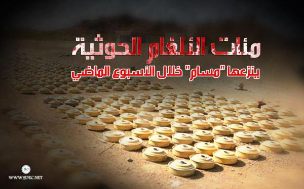"مسام" ينزع مجدداً مئات الألغام الحوثية خلال الأسبوع الماضي