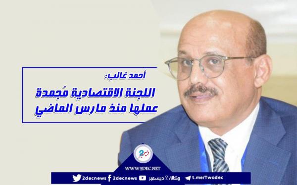 أحمد غالب: اللجنة الاقتصادية مُجمدة عملها منذ مارس الماضي