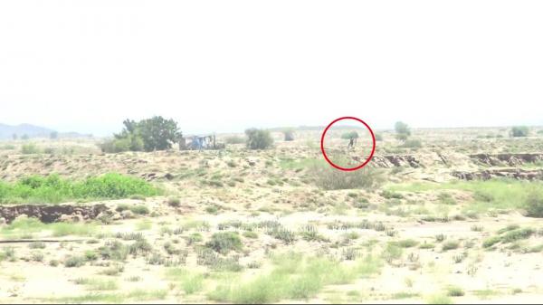 إفشال هجوم لمليشيا الحوثي في حجة هو السابع على التوالي خلال أيام