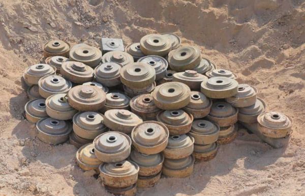 خلال أسبوع.. مشروع "مسام" ينتزع 1200 لغم من مخلفات الحوثيين 
