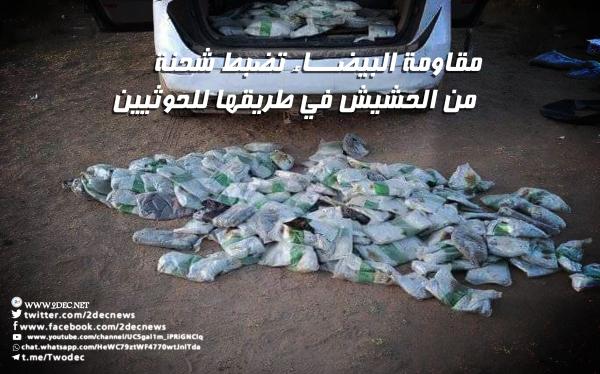 مقاومة البيضاء تضبط شحنة من الحشيش في طريقها للحوثيين