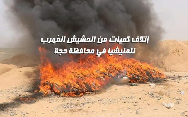 إتلاف كميات من الحشيش المُهرب للمليشيا في محافظة حجة 