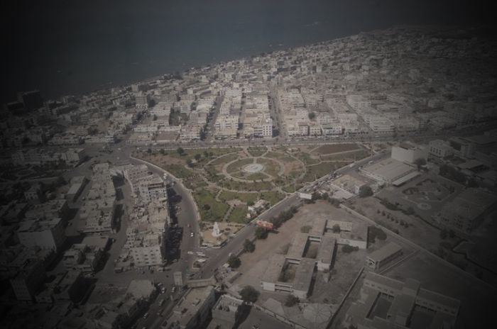 تسجيل 48 حالة إصابة بداء الكَلَب في الحديدة