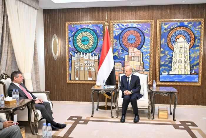 العليمي يدعو إلى مكافحة تهريب الأسلحة الإيرانية لمليشيا الحوثي 