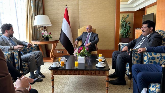 طارق صالح يبحث مع القائم بالأعمال الأمريكي جهود مواجهة تهريب السلاح الإيراني