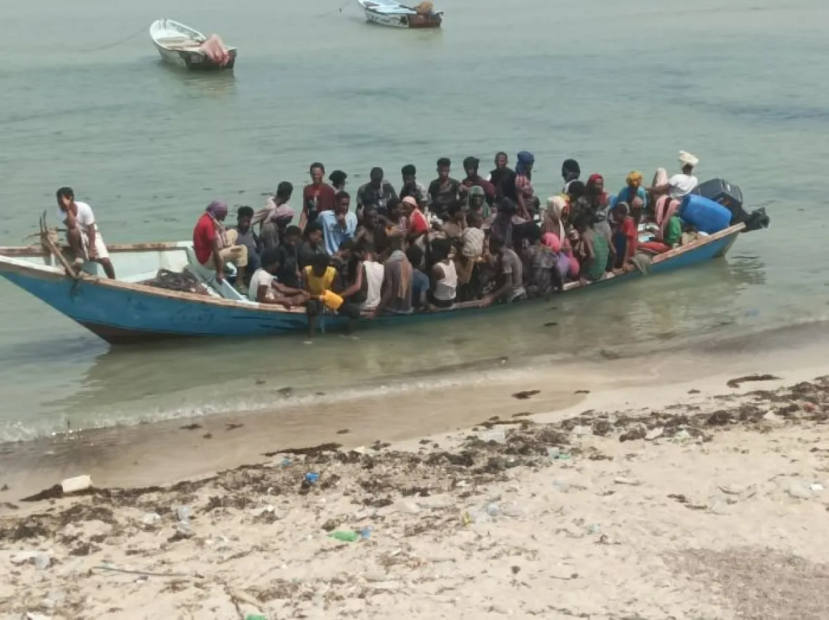 ضبط 181 مهاجراً غير شرعي قبالة سواحل لحج قادمين من جيبوتي