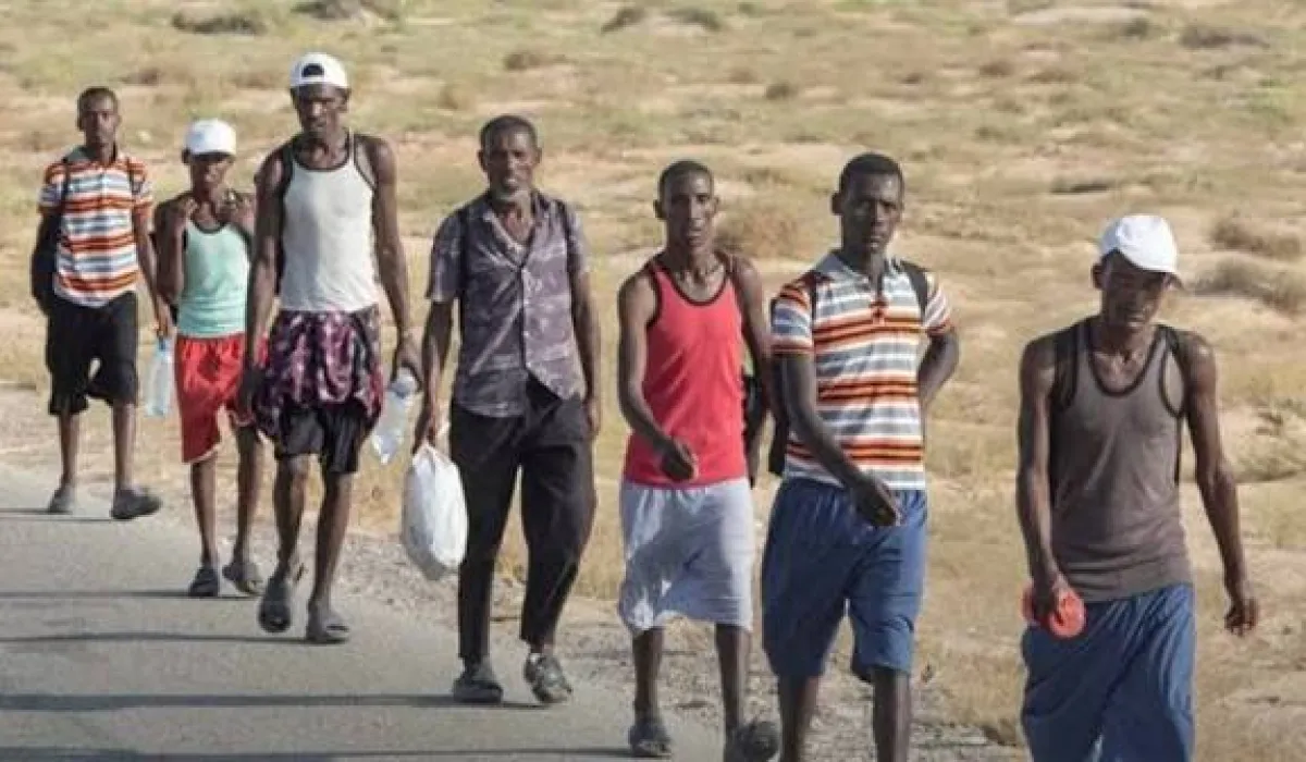 الهجرة الدولية: أكثر من 21 ألف مهاجر أفريقي دخلوا اليمن خلال يناير