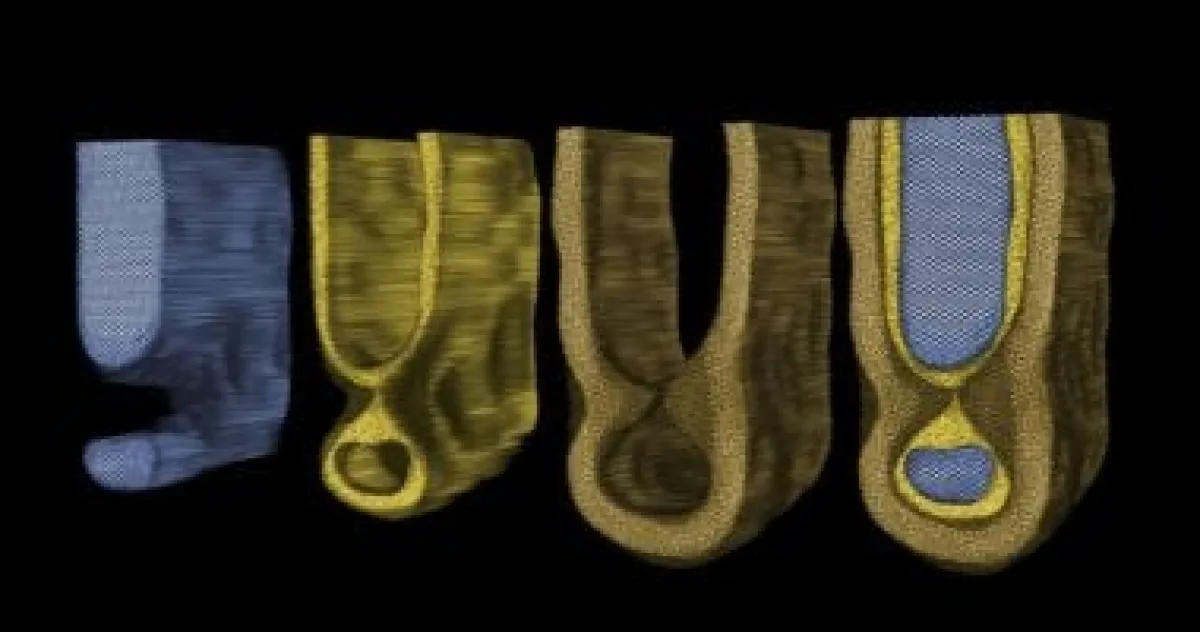 اكتشاف "عضة الفأر": عيوب ذرية تهدد أداء شرائح الذكاء الاصطناعي