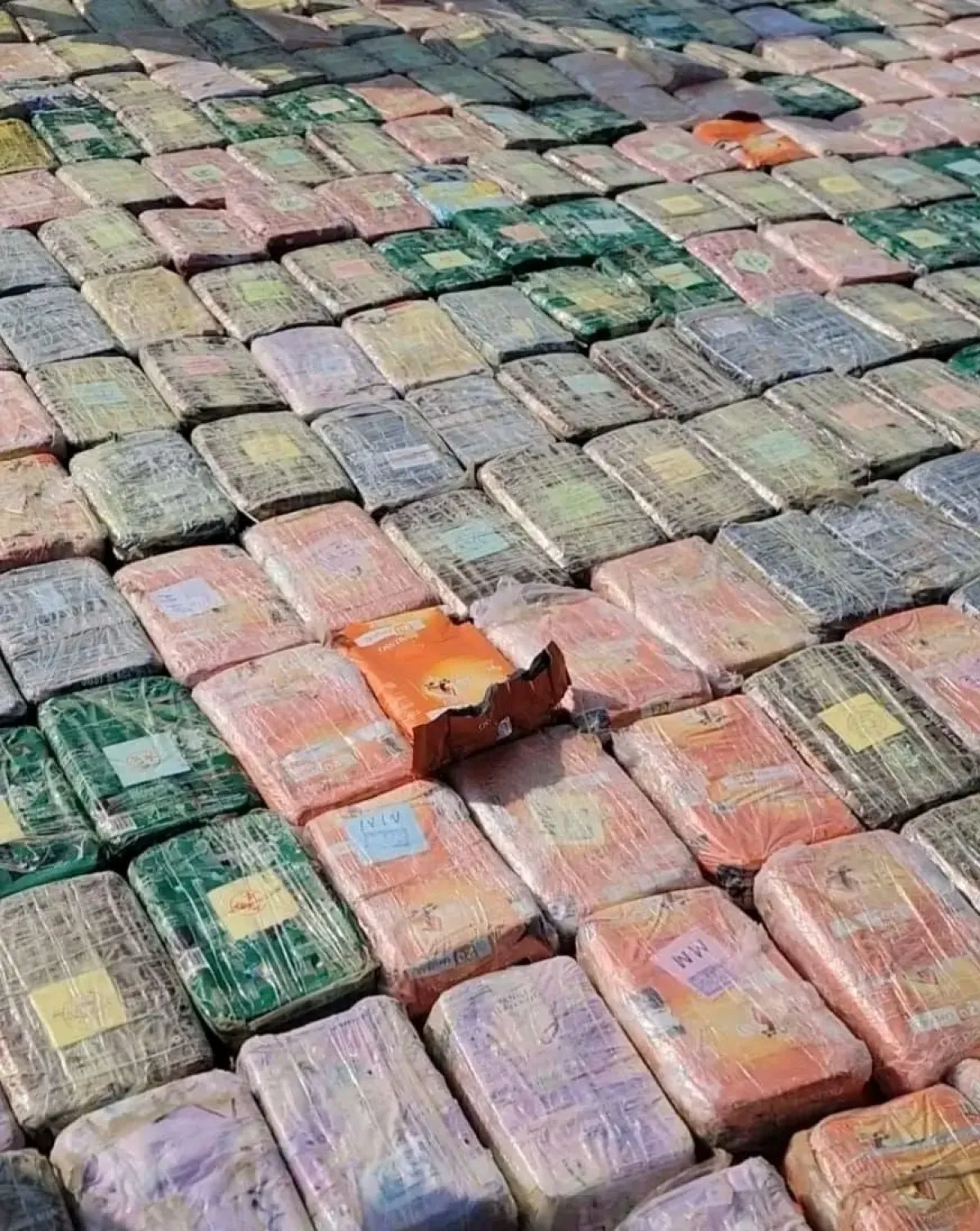 ألوية العمالقة تضبط أكثر من 600 كيلو من المخدرات بسواحل لحج