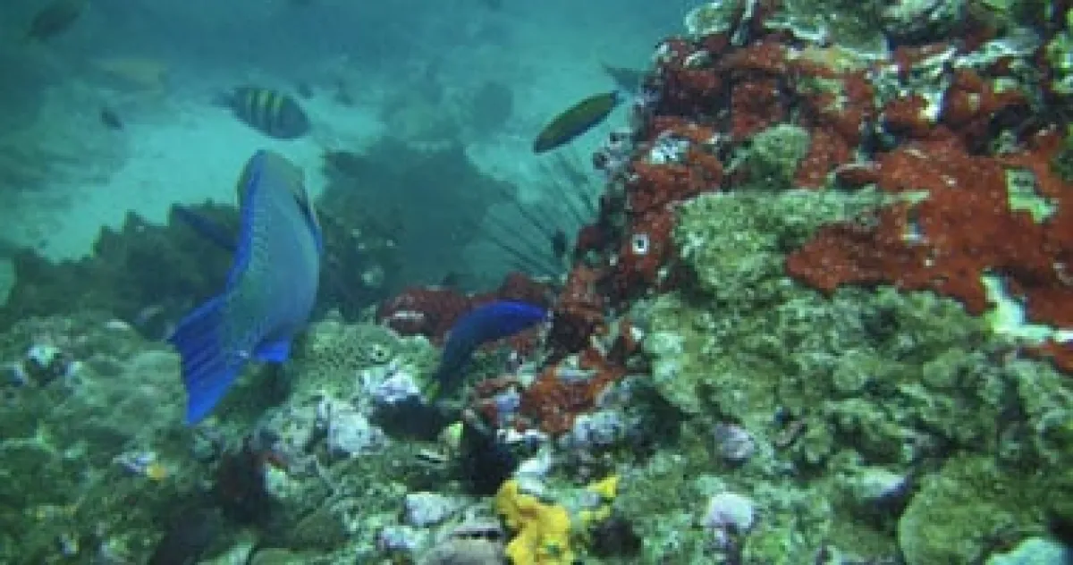 الاتحاد الأوروبي يطلق أسطول روبوتات وطائرات مسيّرة لتنظيف قاع البحر من النفايات