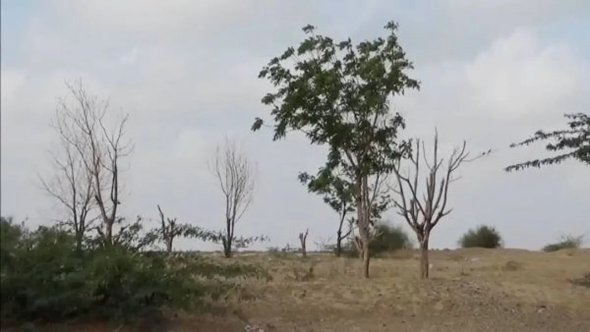 تحذير دولي: الجفاف يدفع اليمن نحو موجة جوع أشد منتصف العام