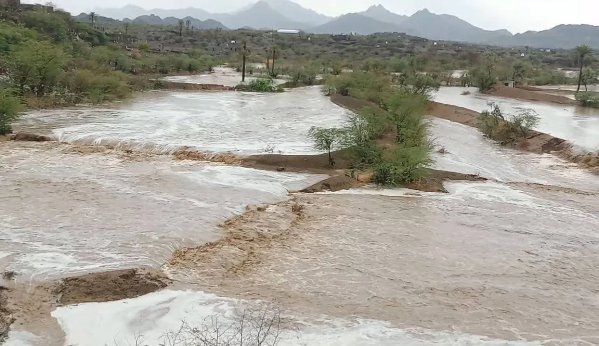 الوازعية.. تشكيل لجنة ميدانية لتقييم أضرار السيول واتخاذ إجراءات عاجلة
