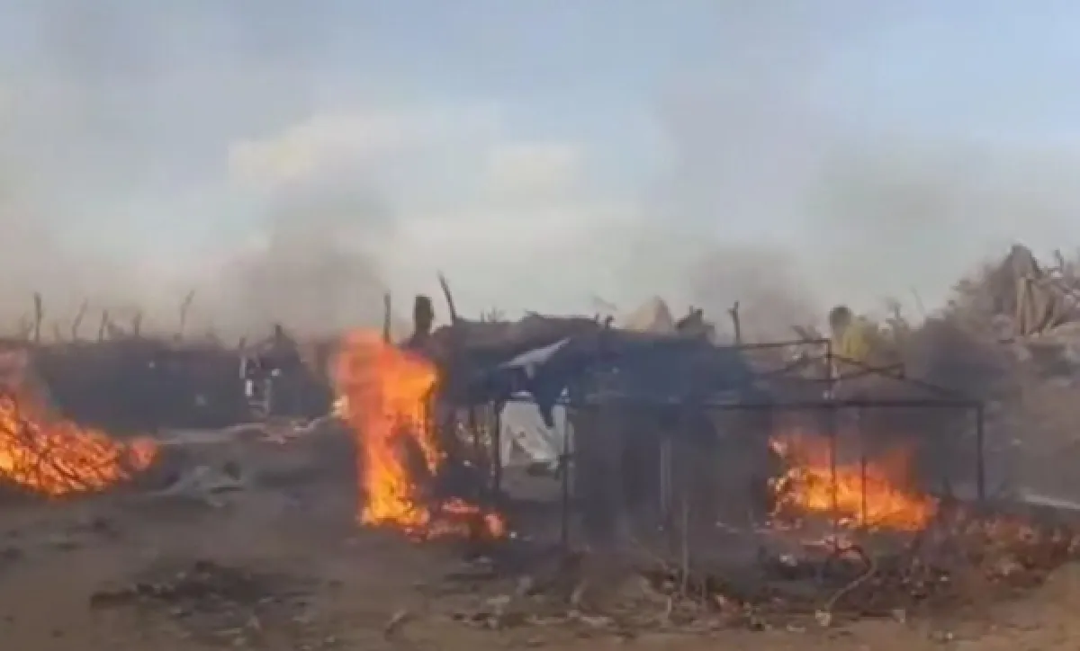 ضبط 25 مهربًا وإزالة معسكرات لتهريب المهاجرين في أحور بأبين