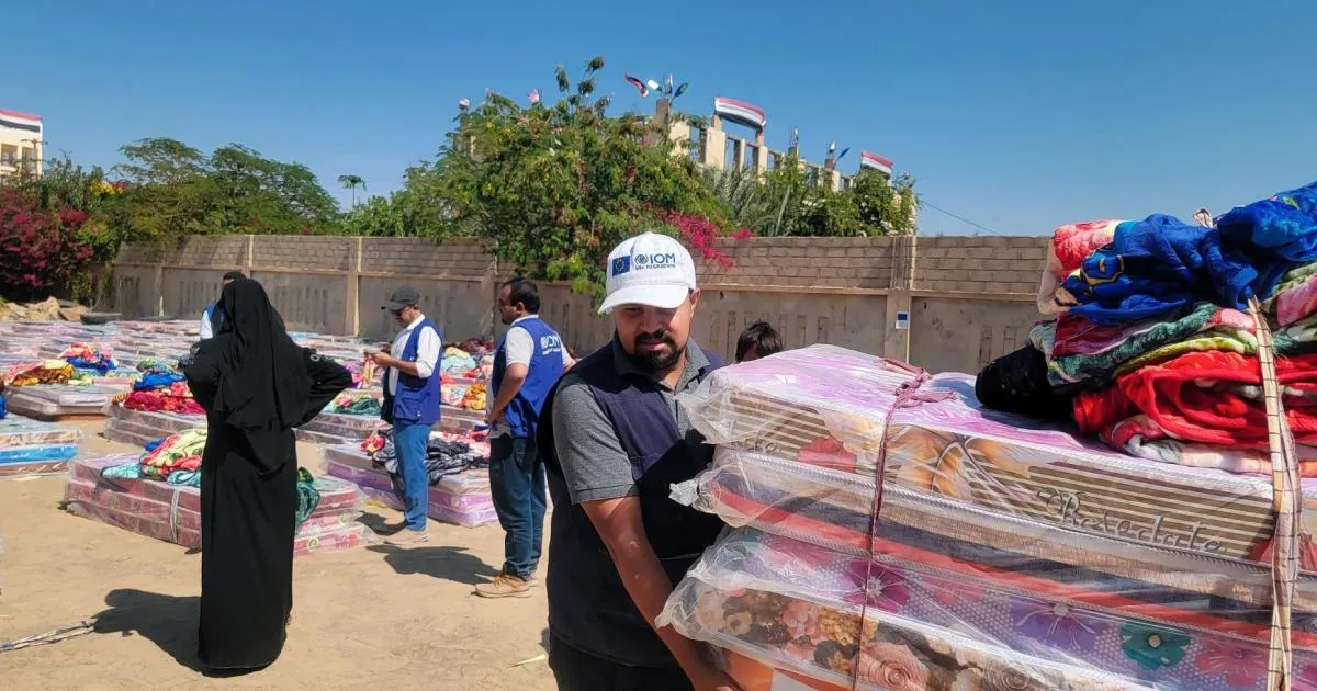 الهجرة الدولية توزع مساعدات إيوائية لـ2200 أسرة متضررة من الفيضانات في الساحل الغربي وتعز ومأرب