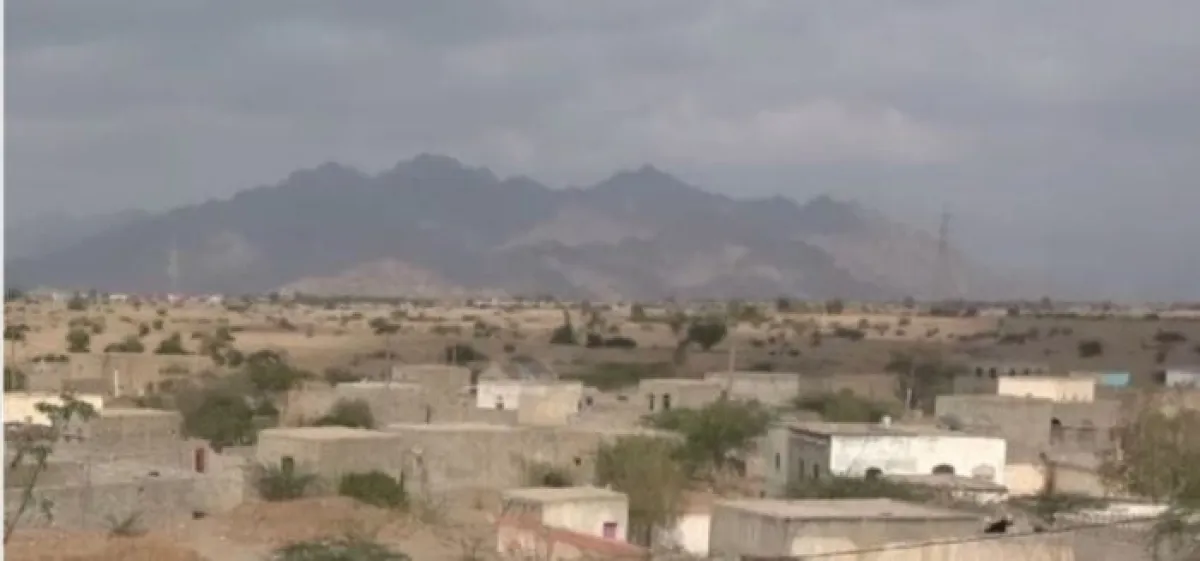 نفوق مواشٍ جراء قصف حوثي استهدف قرية آهلة بالسكان في ريف حيس