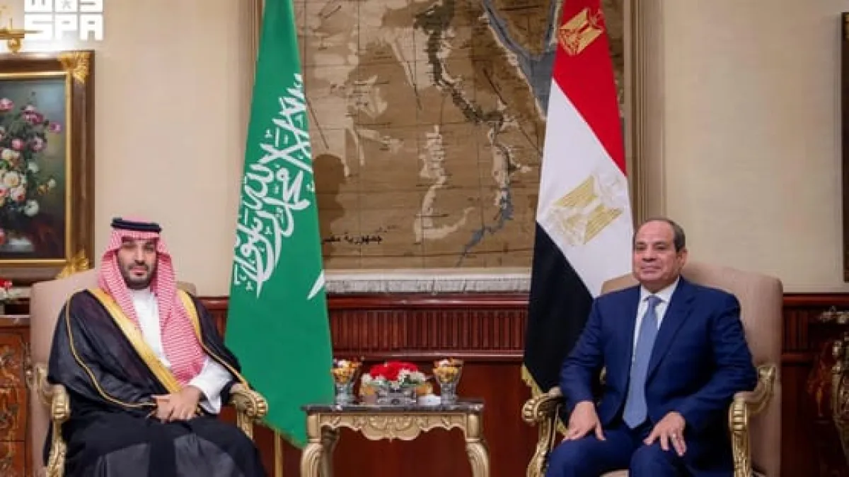 الأمير محمد بن سلمان والرئيس السيسي يؤكدان أهمية ضمان أمن وحرية الملاحة في باب المندب والبحر الأحمر